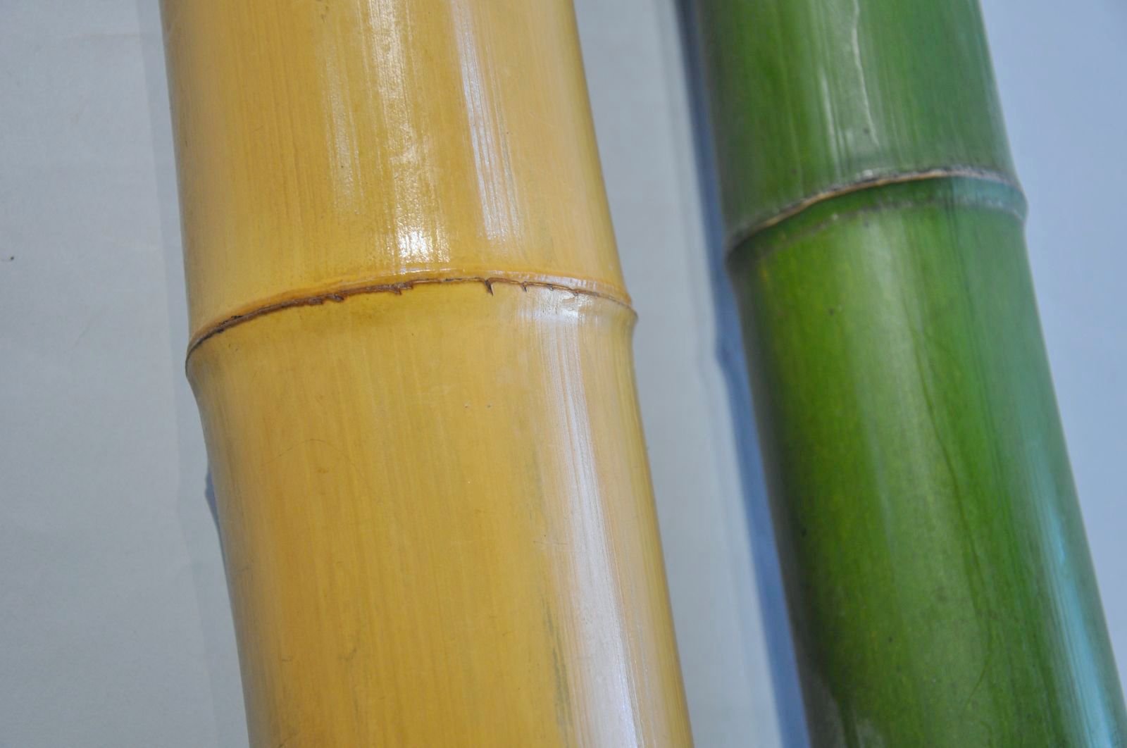 真竹の”青竹”と”白竹”