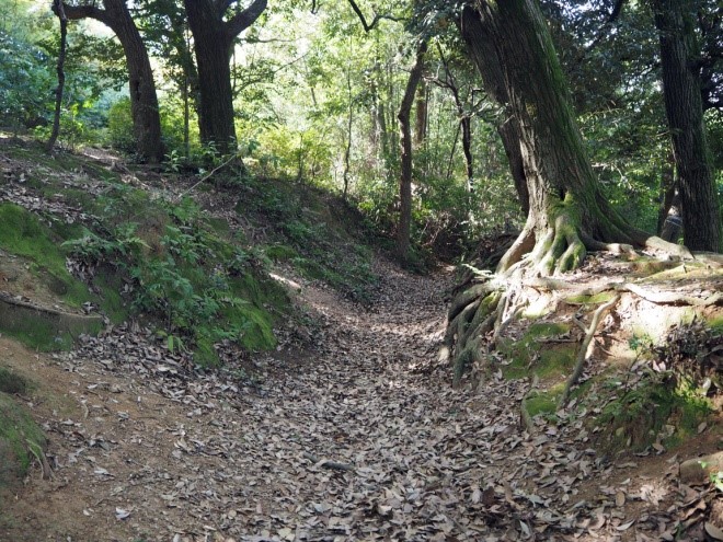 船岡山城　堀跡