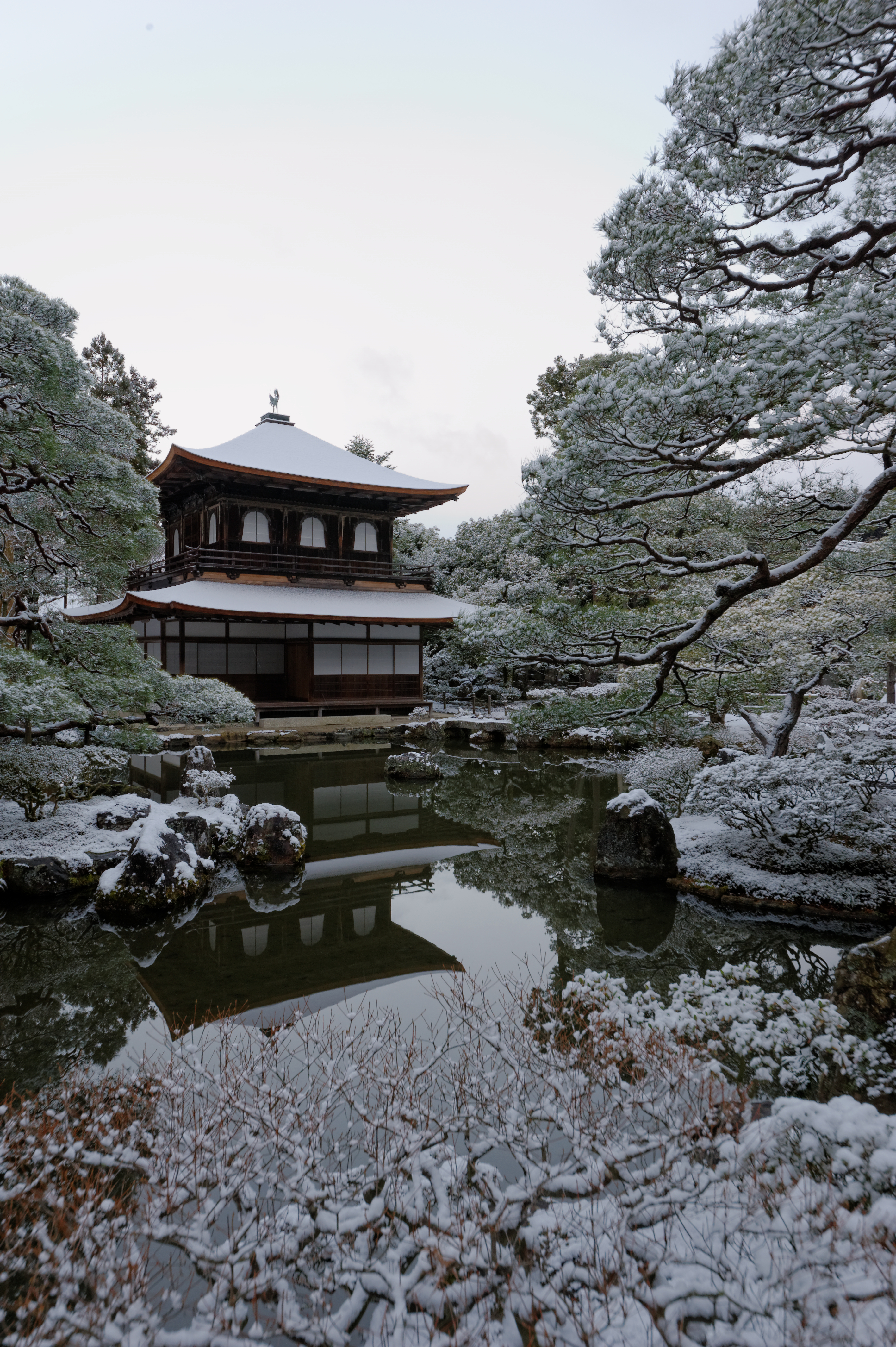 侘(わ)び、寂(さ)びの誕生 茶道とは。何モノか。その2 | Kyoto love ...