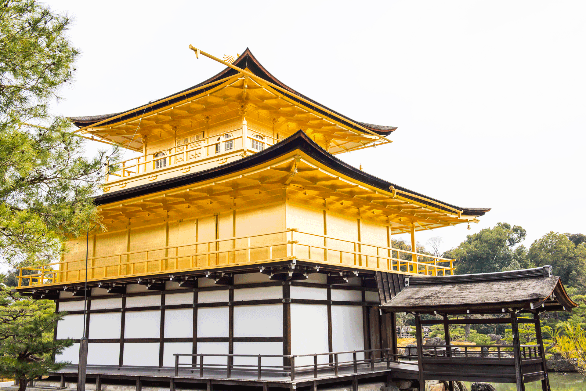 第3回 金閣寺 金箔の張替え 伝えたい京都 知りたい京都 Kyoto Love Kyoto