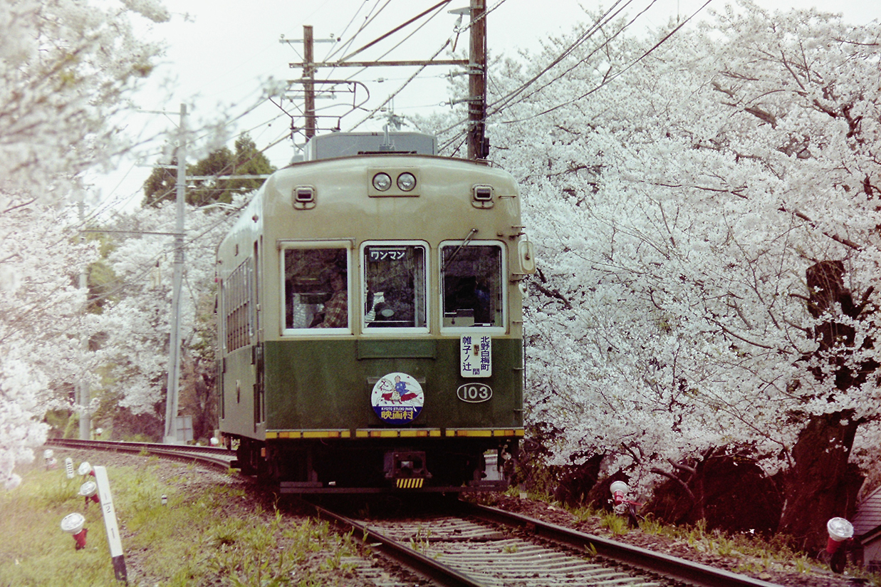 大正15年3月の北野線全線開通を記念して鳴滝駅～宇多野駅の間に桜が植樹されました。約70本の桜並木は、鉄道ファンの間では有名になっています。