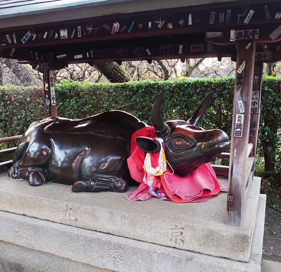 2021年は「牛」の神社へ行こう | Kyoto love Kyoto. 伝えたい京都、知りたい京都。
