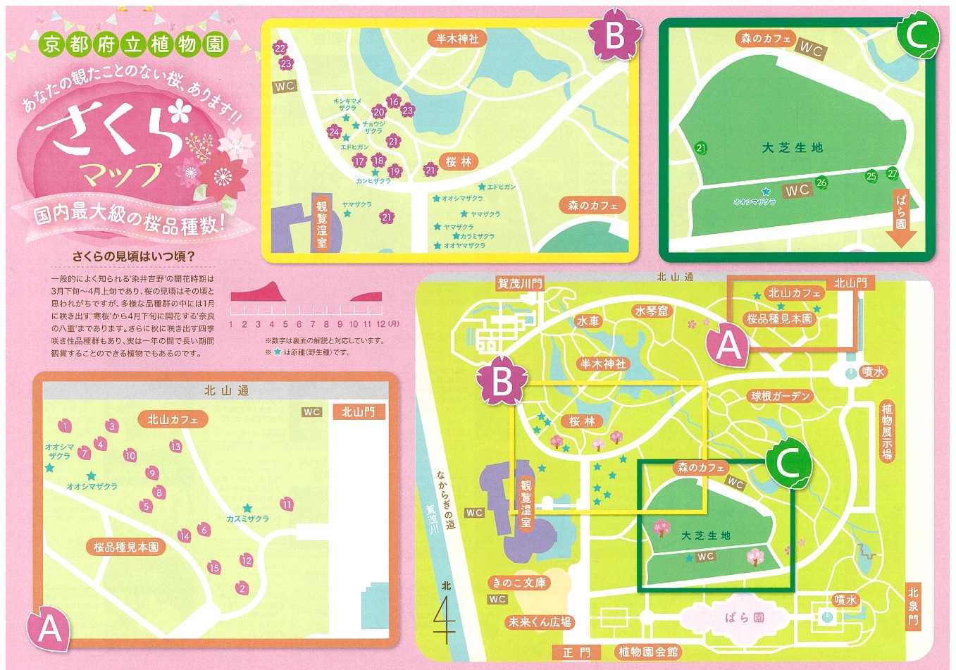 京都府立植物園で桜が見られるエリア説明