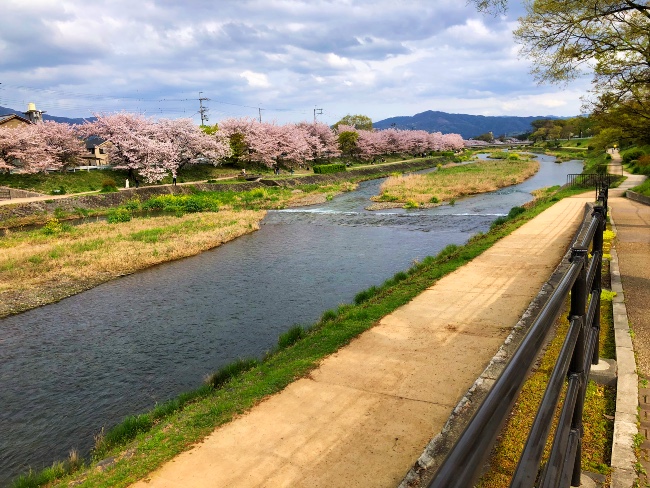 賀茂川