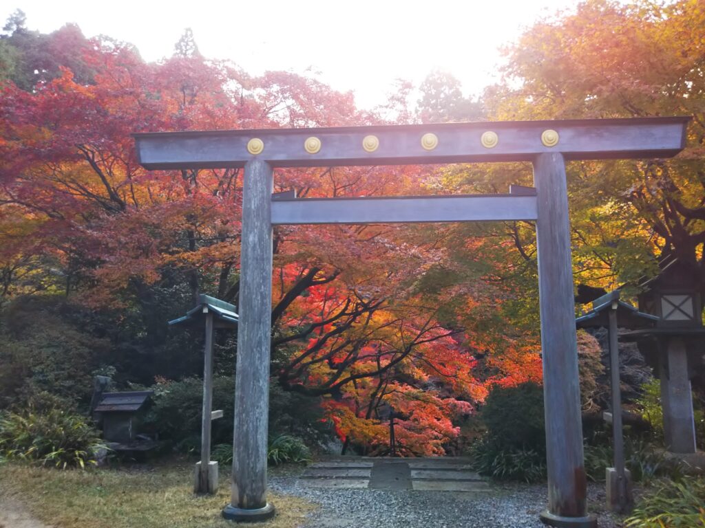 日向大神宮の紅葉と鳥居