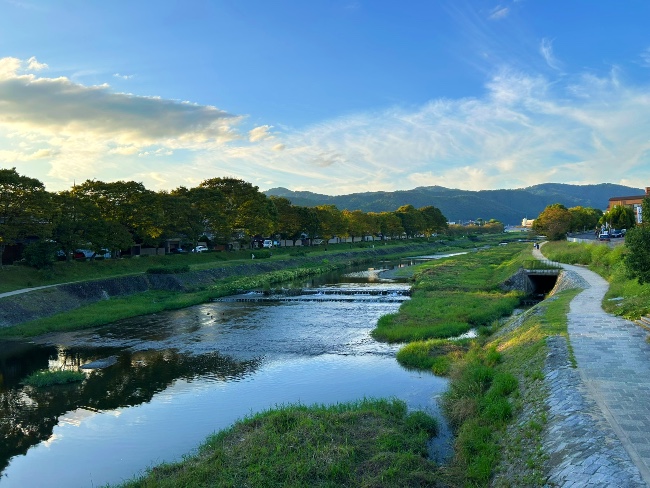 賀茂川の風景