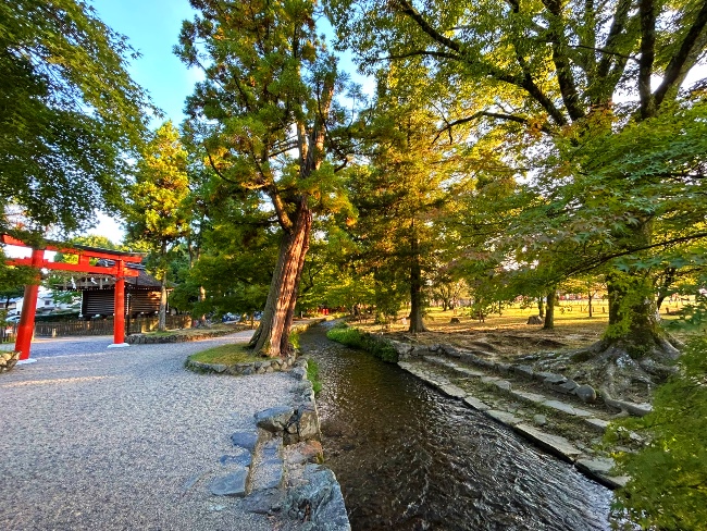 ならの小川