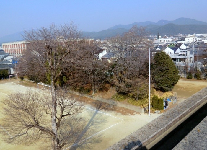 ⑨　北野中学校内　　御土居の袖