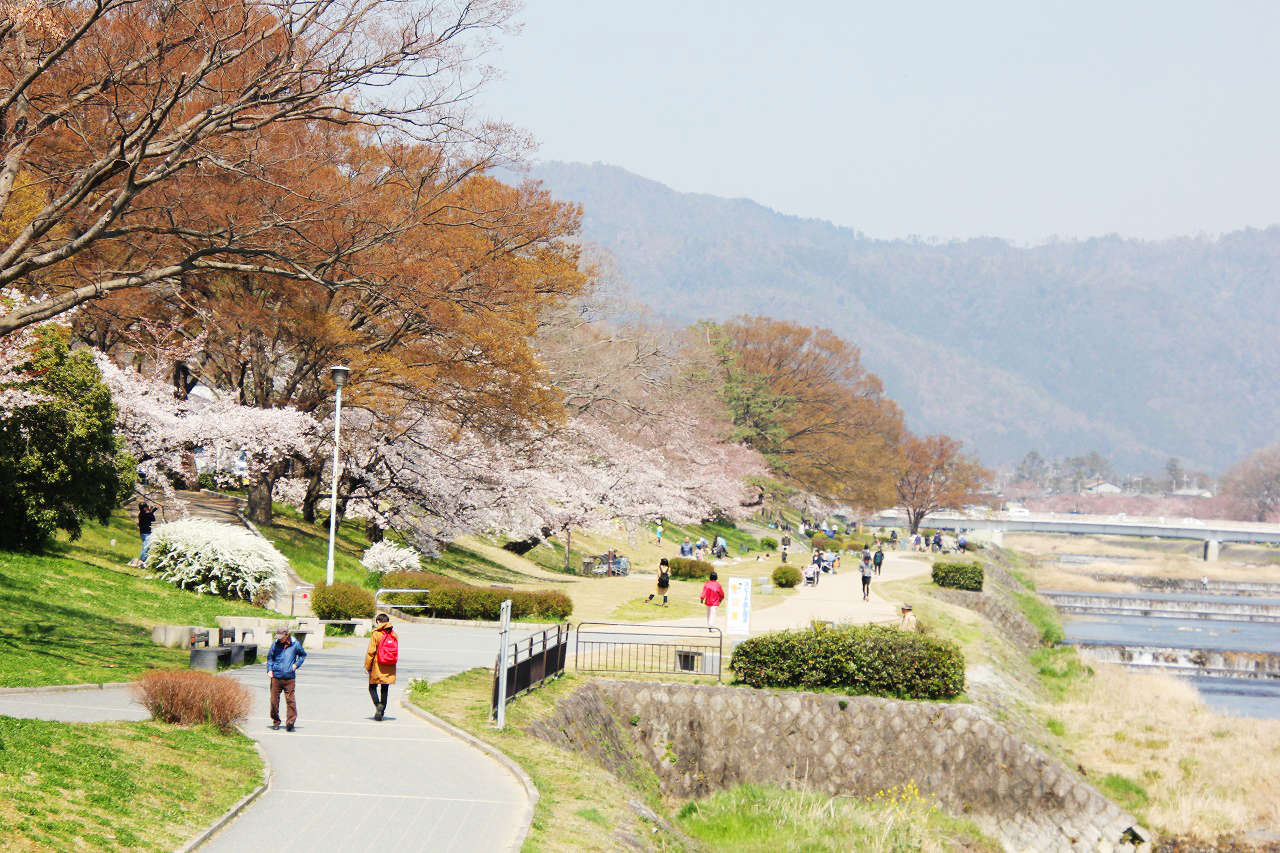 出雲路橋西詰から北方を望む