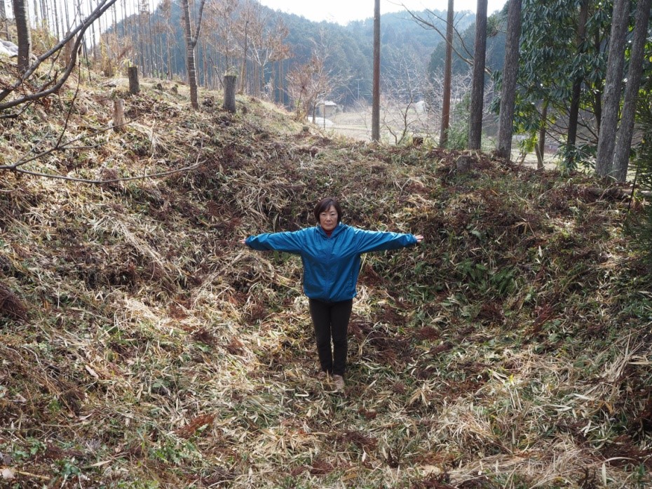 小高い丘の斜面にある氷室の窪地