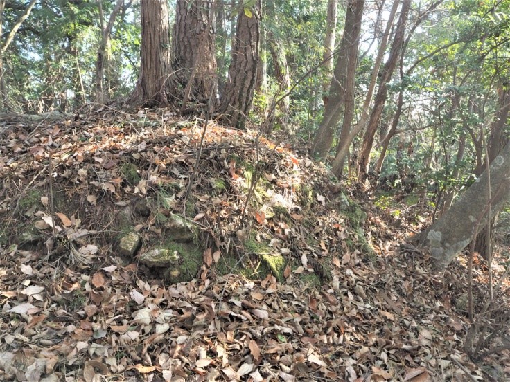 堂ノ庭城跡に残る石組と縄張図