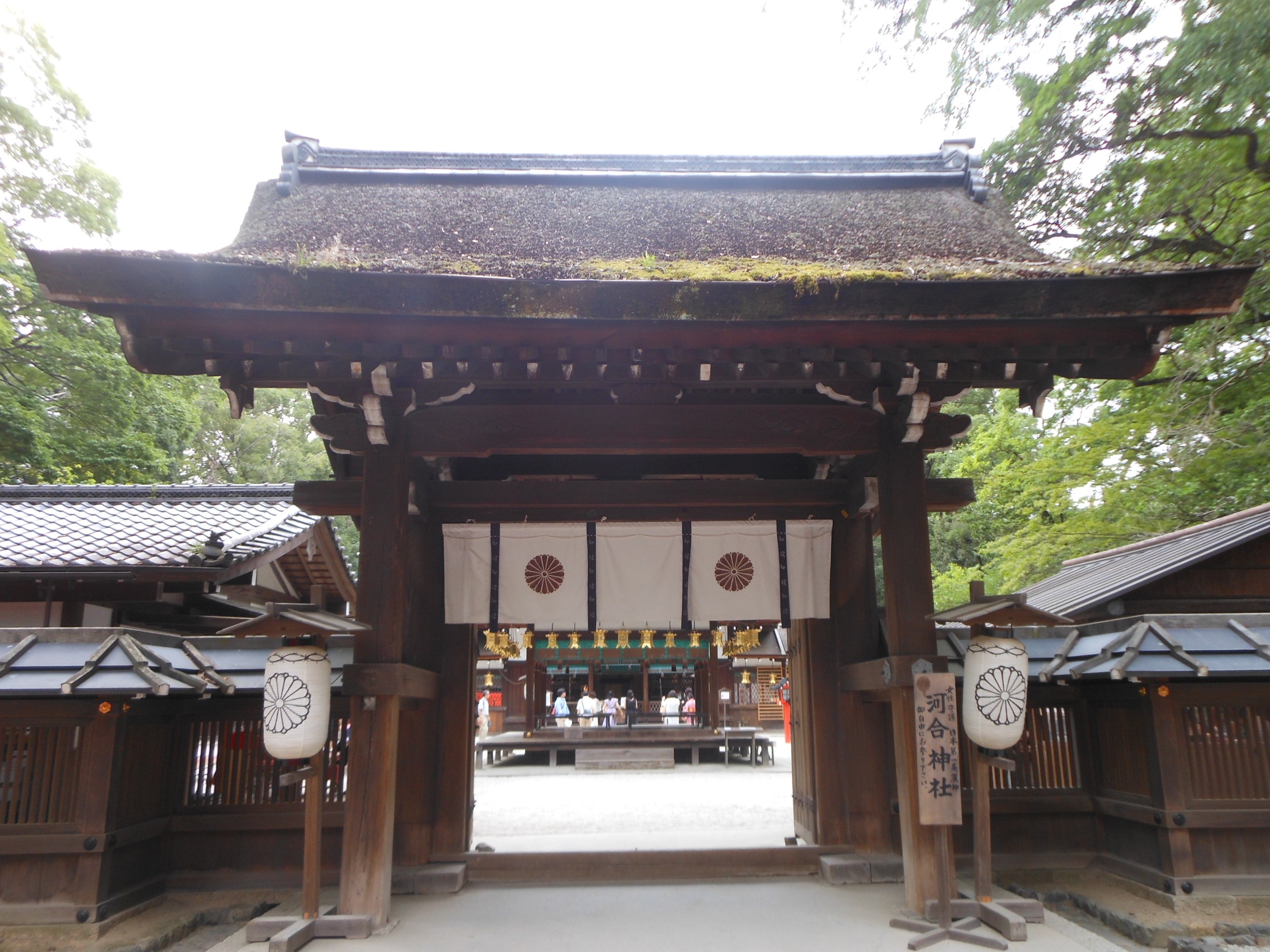 青龍を示す河合神社