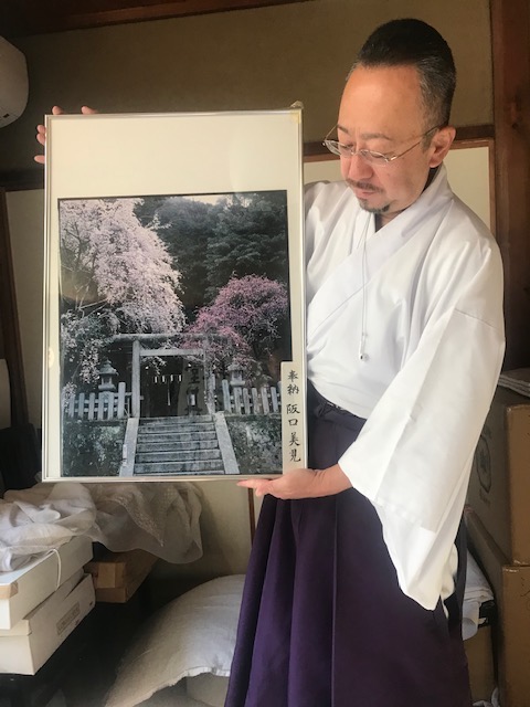 何十年か前に境内の桜（左）と梅（右）が同時に咲いた時の写真。