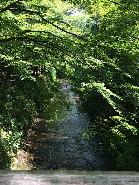 御土居の西北部分は紙屋川の断崖を利用