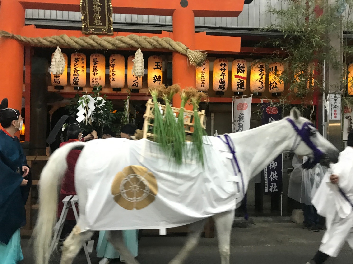 24日　三条黒門　又旅社にて奉饌祭神事前のご神馬