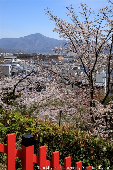 (建勲神社参道から望む比叡山。境内は船岡山にあり眺望がよい)