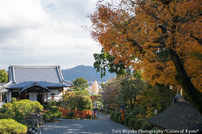 (建勲神社境内から東を望む)