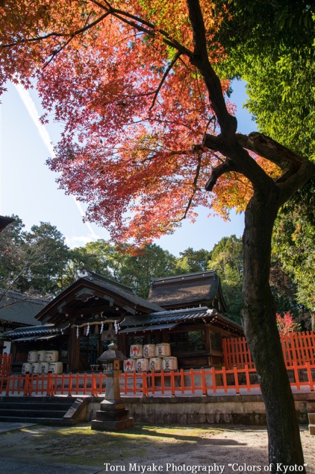 (秋の建勲神社)