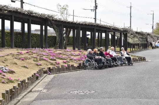 藤棚の回廊