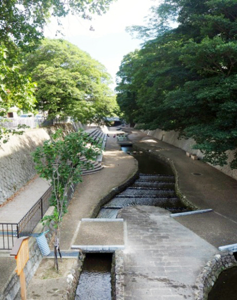 蘇った堀川　 地域住民参加の水辺空間