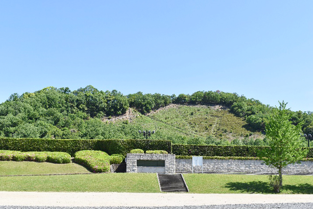 宝が池公園運動施設