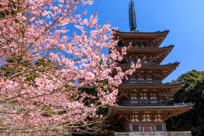 醍醐寺 五重塔