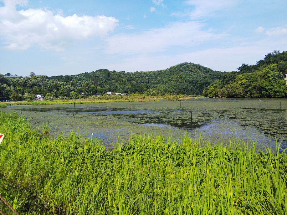 深泥池