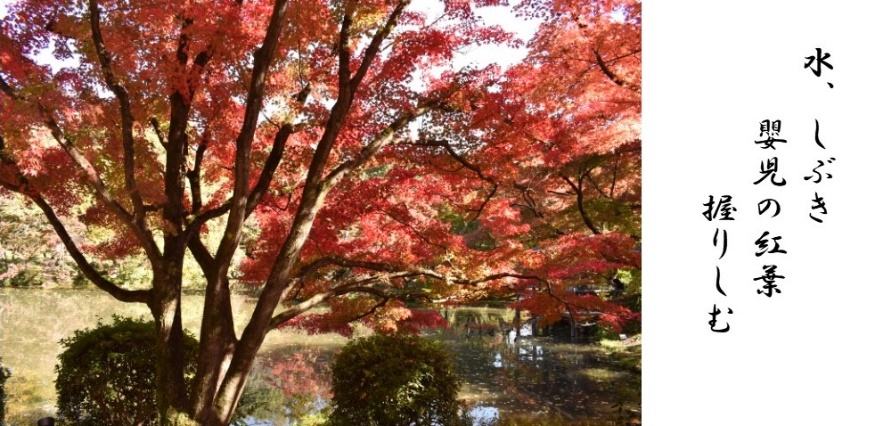 なからぎの森