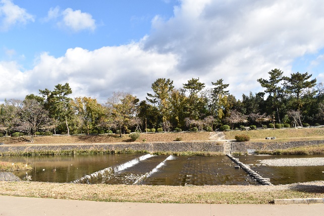 賀茂川西岸から植物園を見る