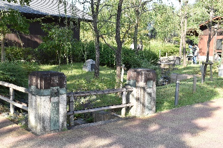 “京都の森”の絲桜橋