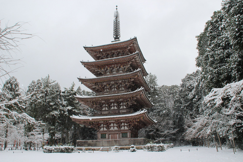 醍醐寺　五重塔【僧侶がご案内する特別拝観】