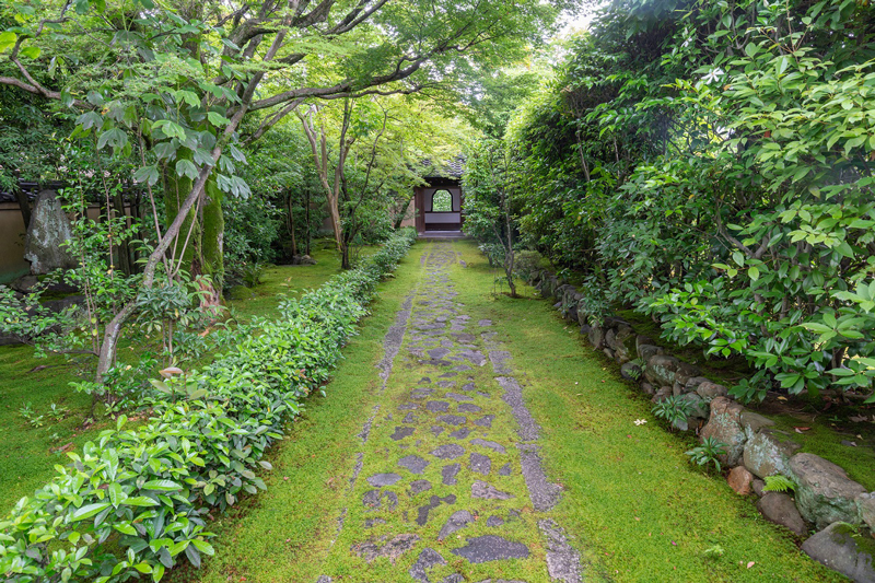 大徳寺　大光院