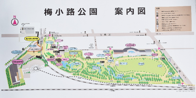 梅小路公園