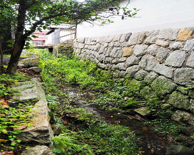 大徳寺東側の溝（堀川の旧河道）