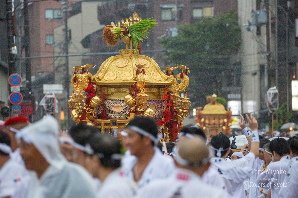 雨に打たれて輝く中御座神輿