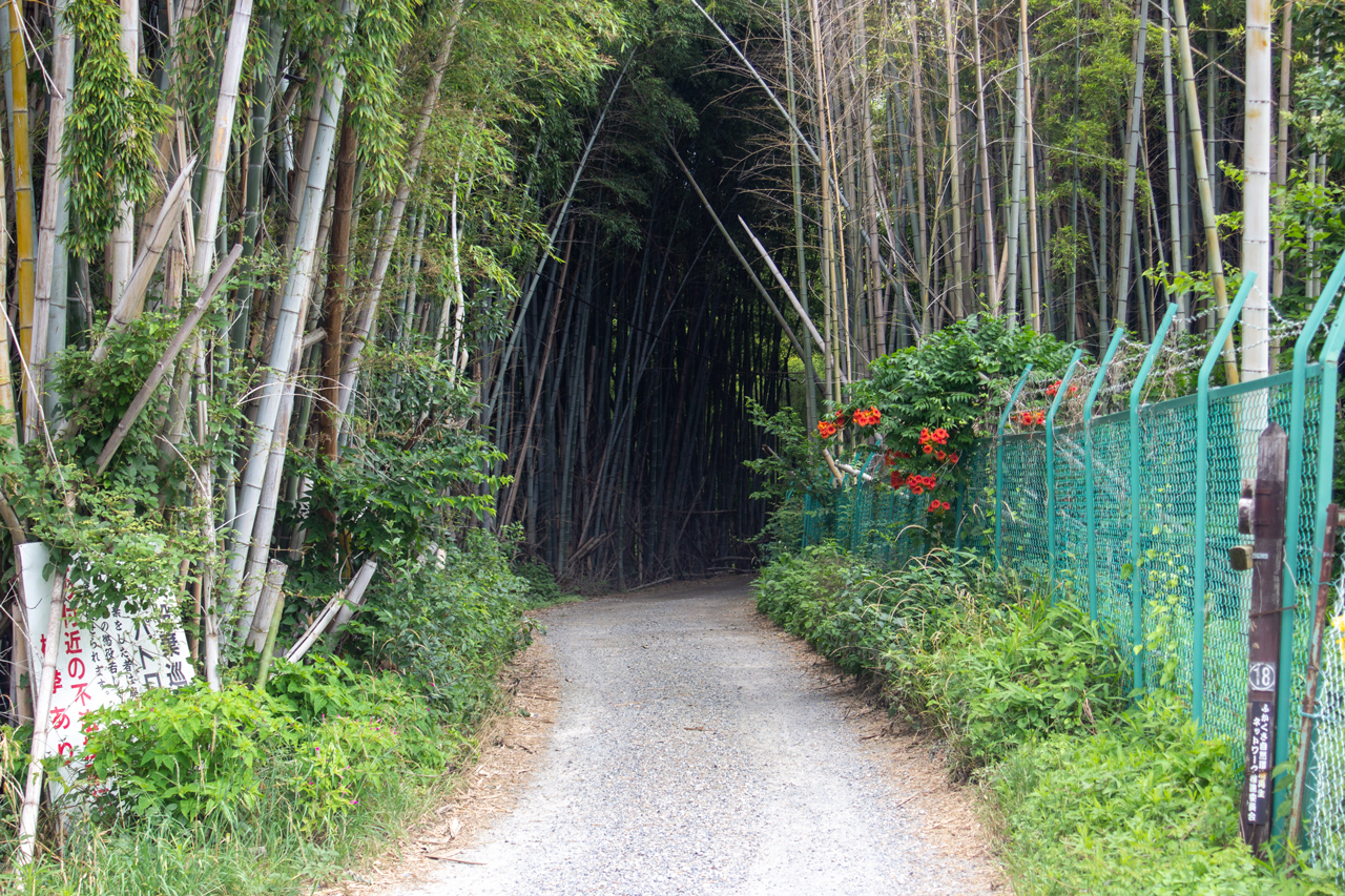 大岩山への入り口