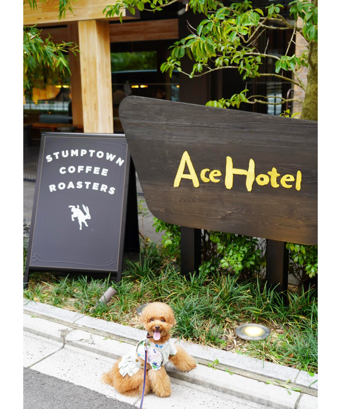 梅小路通りに立っているAce Hotel Kyotoの看板