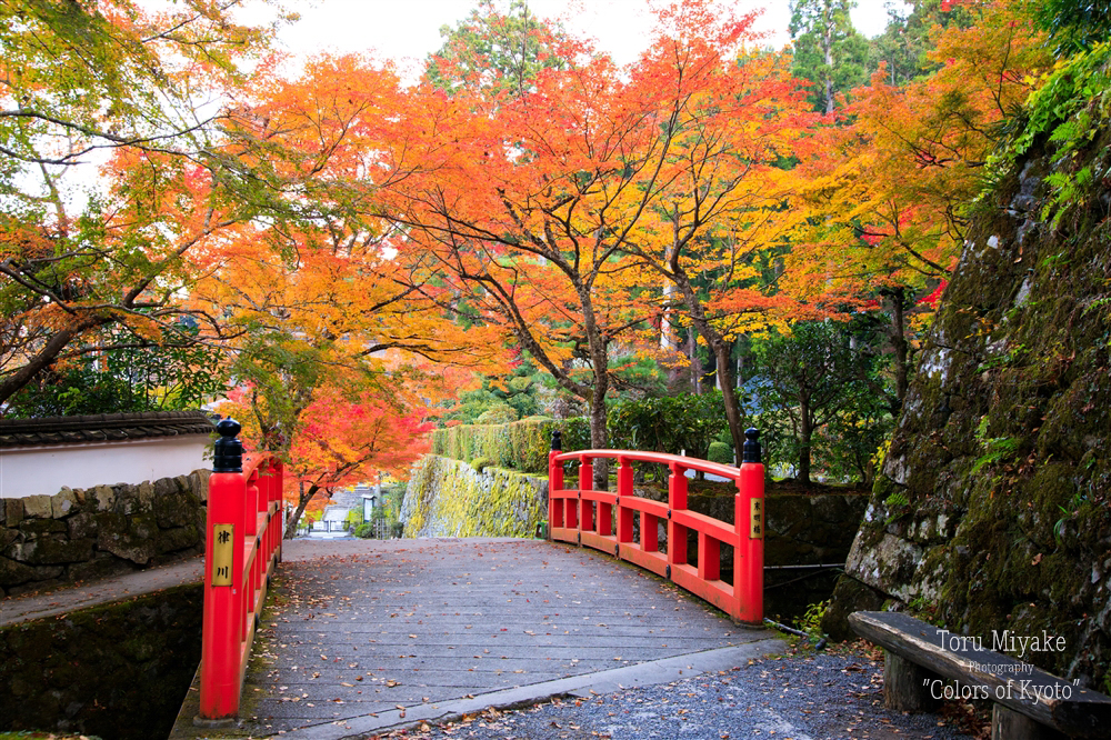 三千院の門前　律側にかかる未明橋