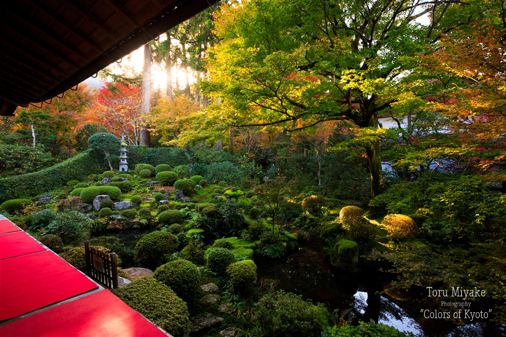 朝の聚碧園