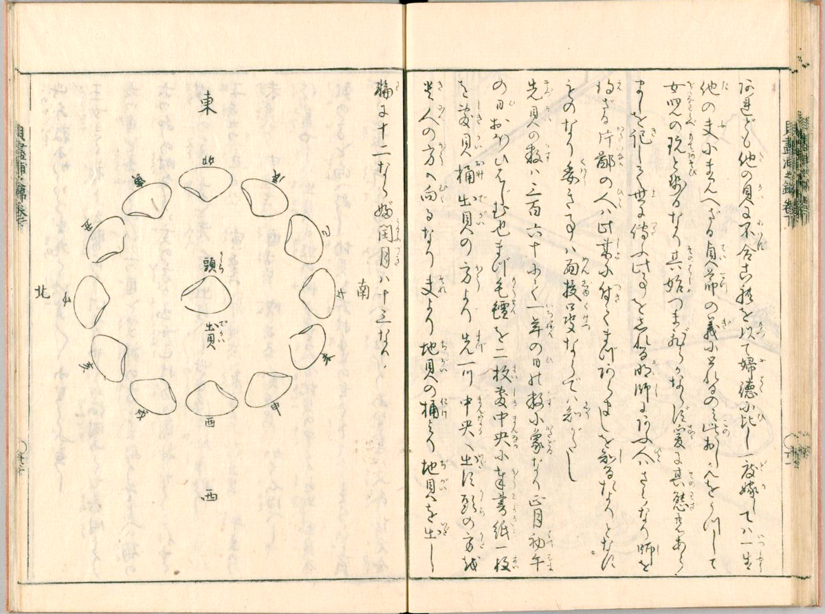 貝尽浦の錦2巻　貝蓋紀　大枝流芳