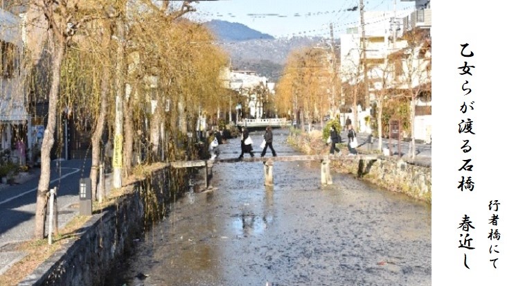 写真1：古川町橋（一本橋）