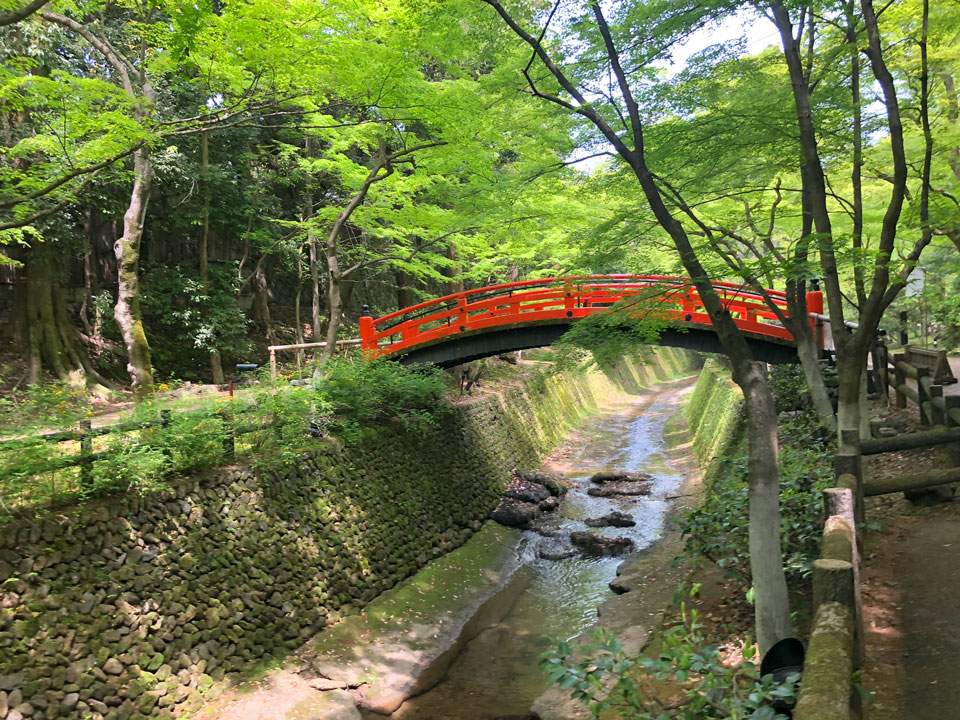 北野天満宮の史跡御土居青もみじ