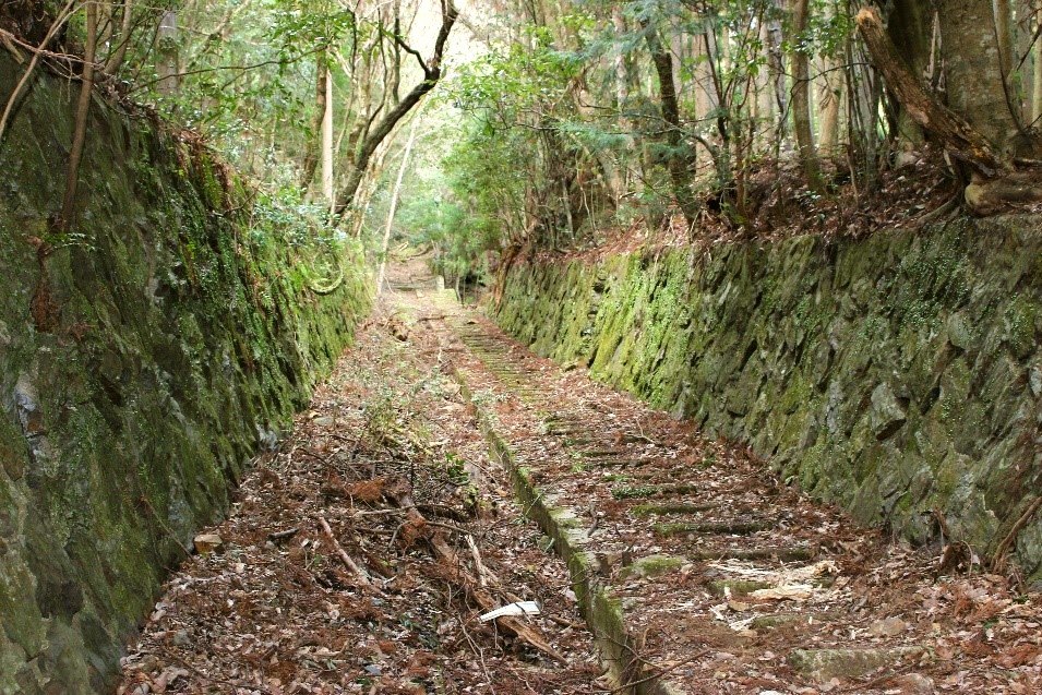 今は立ち入ることが出来ない鋼索線の線路跡