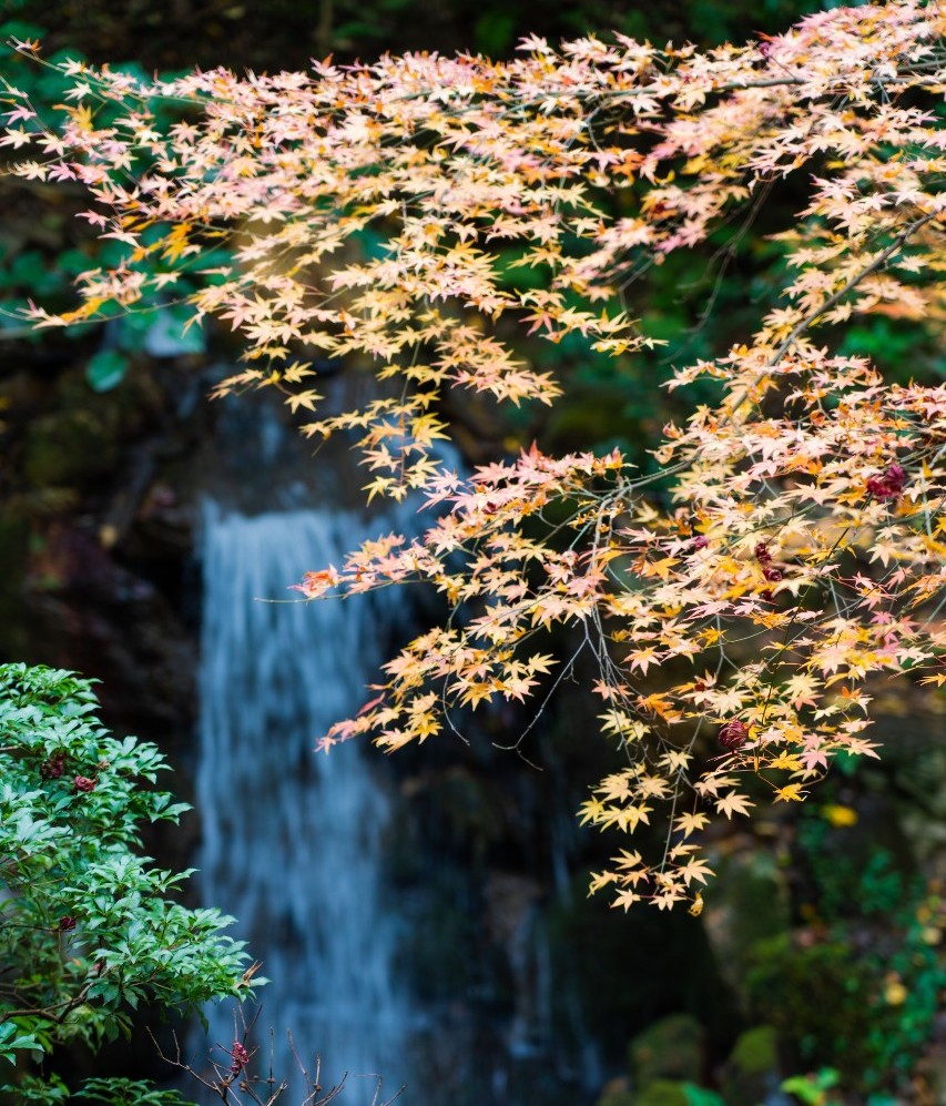 南禅寺　滝の間