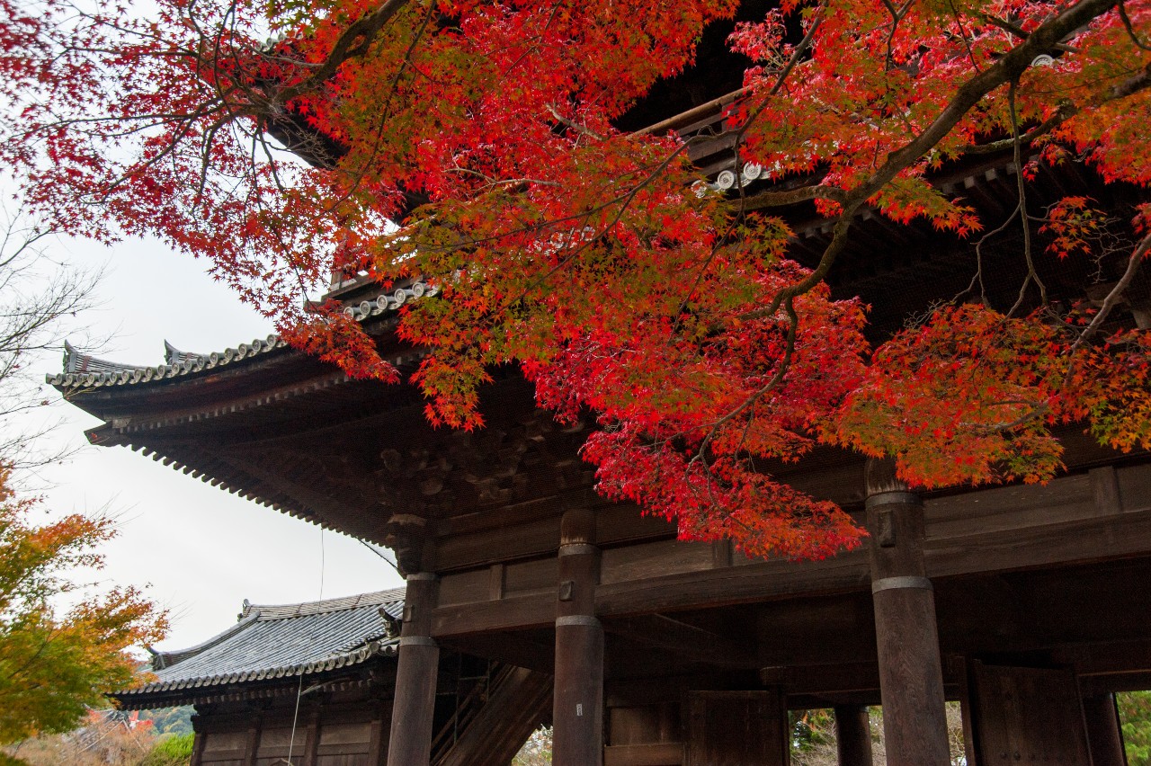 南禅寺　三門