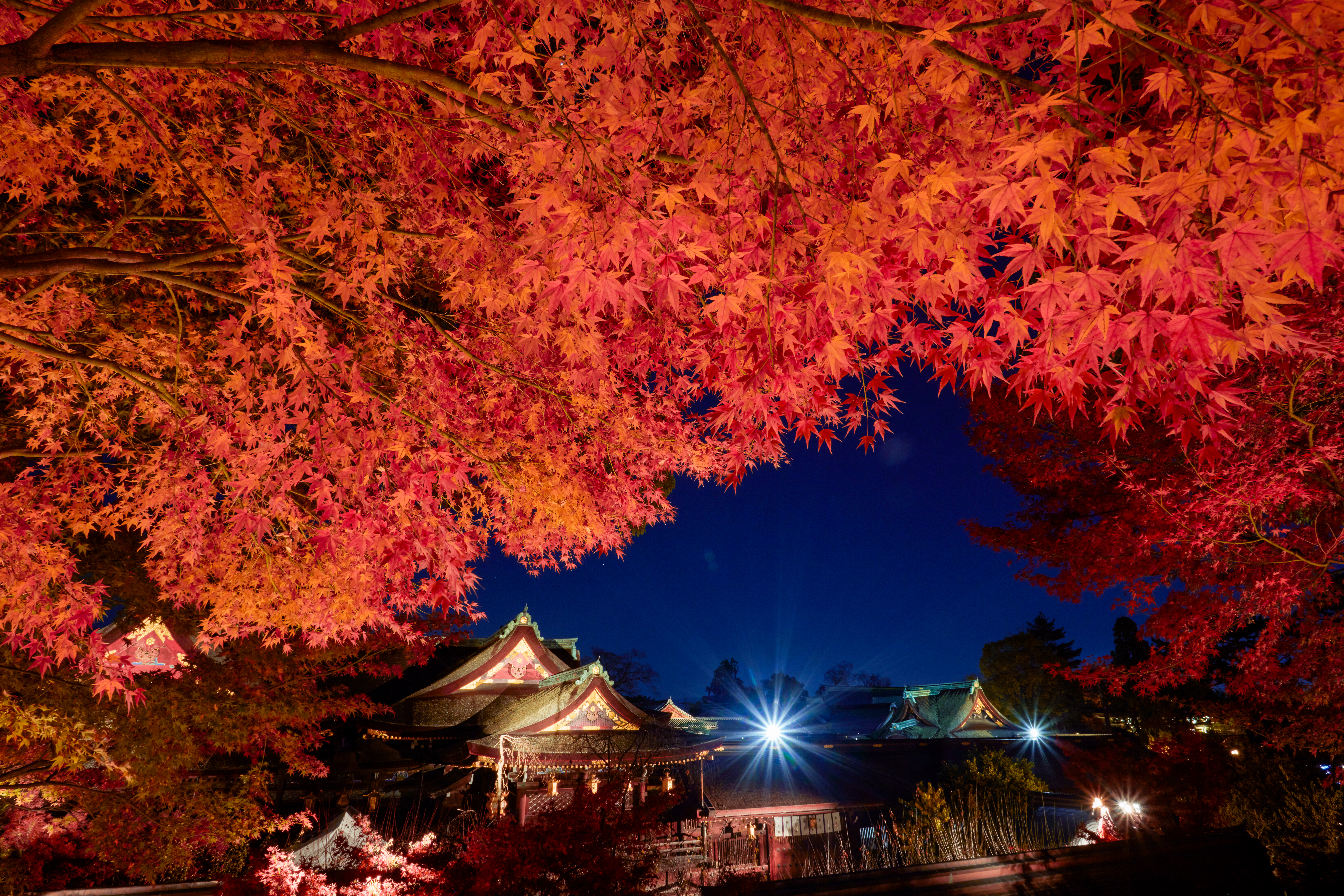 画像提供：北野天満宮